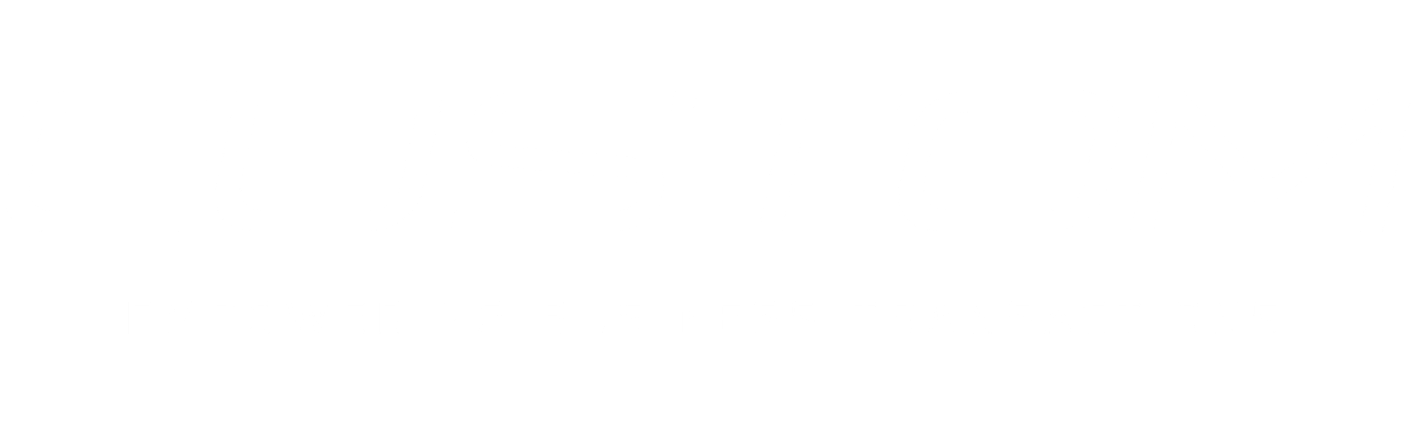 Custom America