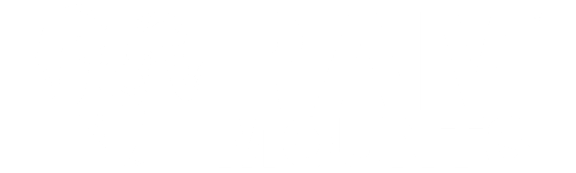 RAM Mounts